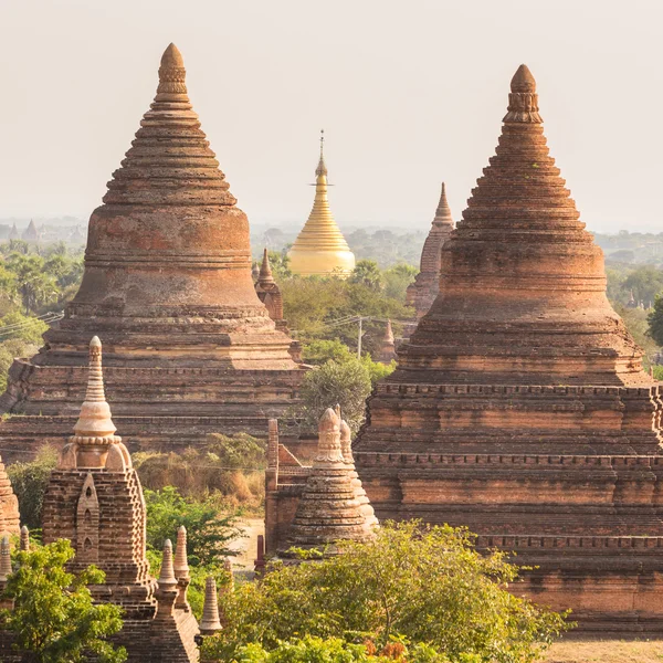 Tamples of Bagan, Burma, Myanmar, Asia. — Stock Photo, Image