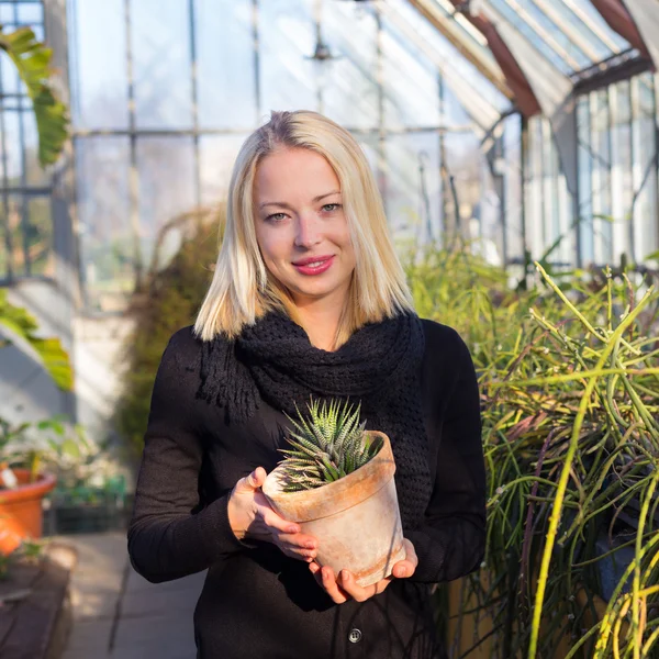 Floristas mulher que trabalha em estufa . — Fotografia de Stock