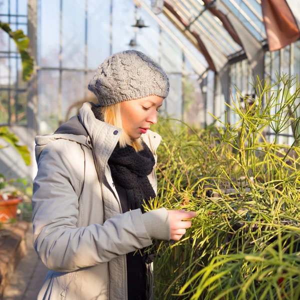 Florists woman working in greenhouse. — Stock Photo, Image
