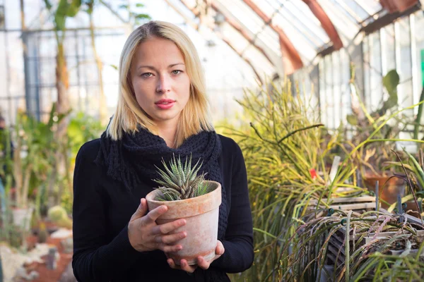 Floristas mulher que trabalha em estufa . — Fotografia de Stock