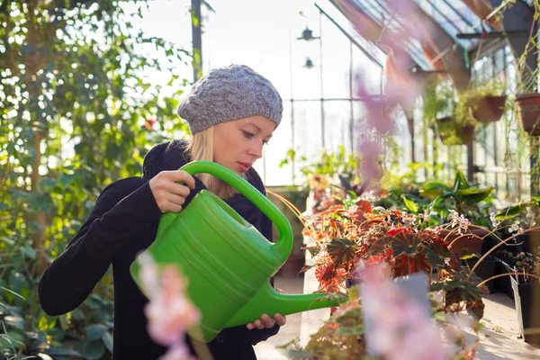 Florists woman working in greenhouse.