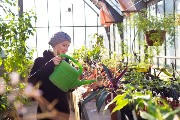 Florister kvinna som arbetar i växthus. — Stockfoto