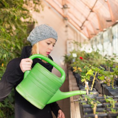 serada çalışan çiçekçi kadın.