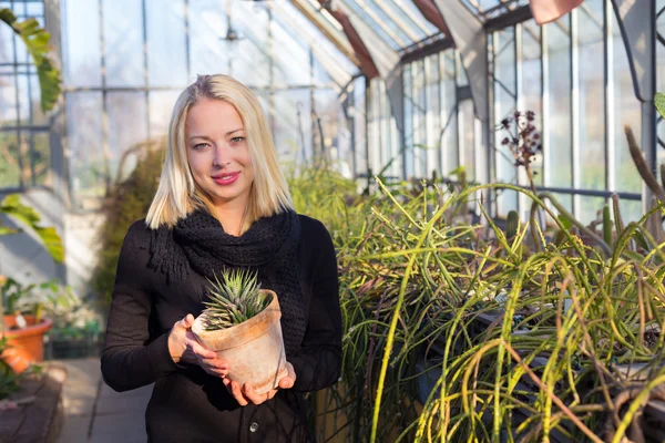 Floristas mulher que trabalha em estufa . — Fotografia de Stock