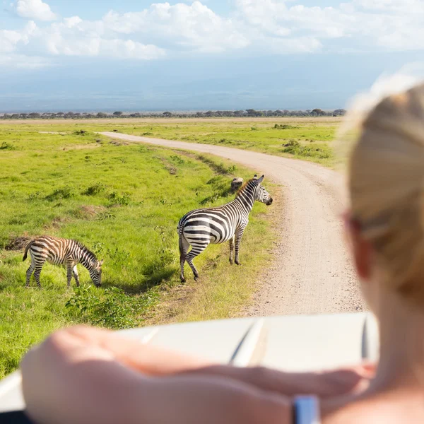 Frau auf Safari durch afrikanische Tierwelt. — Stockfoto