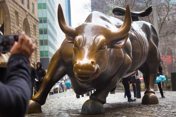 Charging Bull in Lower Manhattan, NY. — Stock Photo, Image