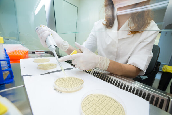 Life scientist researching in the laboratory.