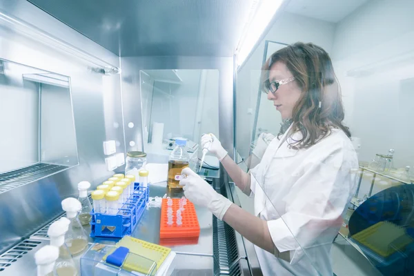 Científico de la vida investigando en el laboratorio. —  Fotos de Stock