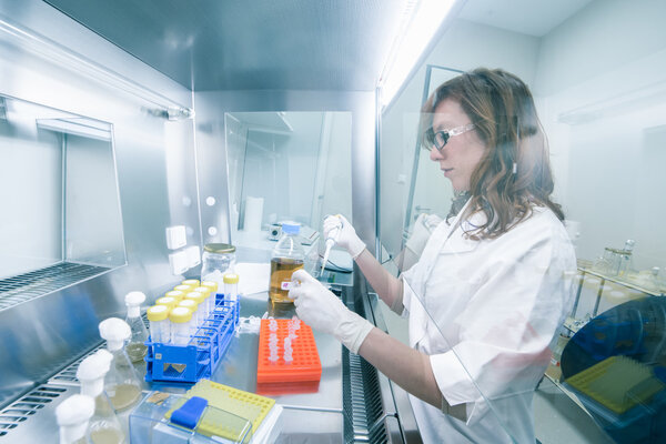 Life scientist researching in the laboratory.