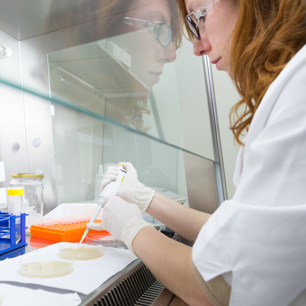 Life scientist researching in the laboratory.