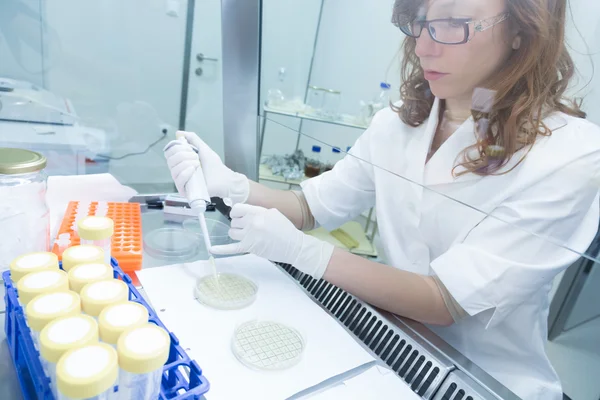 Cientista da vida pesquisando no laboratório. — Fotografia de Stock