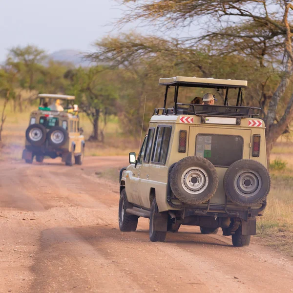 Jeeps on african wildlife safari. — Stock Photo, Image