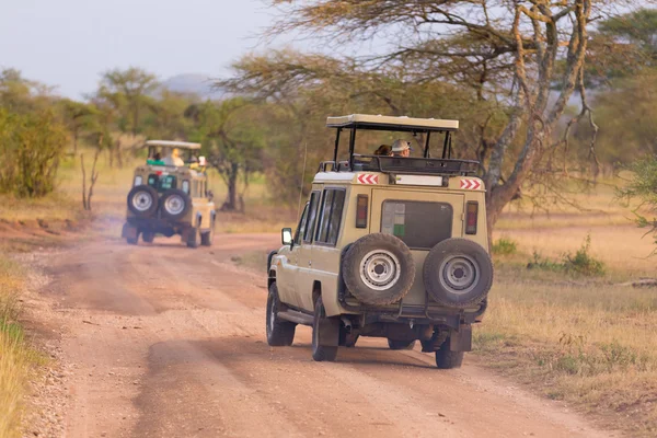 Jeeps on african wildlife safari. — Stock Photo, Image