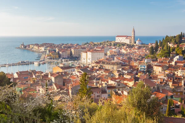 Pittoresca città vecchia Pirano, Slovenia . — Foto Stock