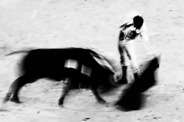 Corridas de toros — Foto de Stock