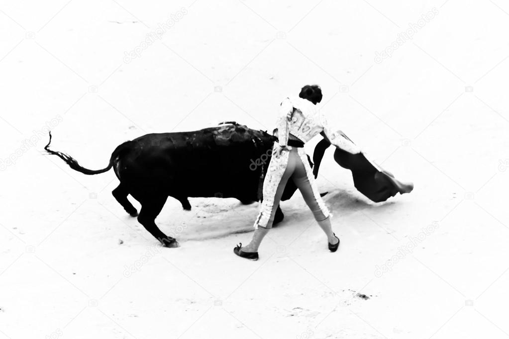 Bullfighting