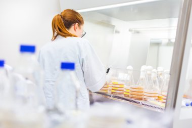 Laboratuvarda araştırma yapan bir bilim adamı..