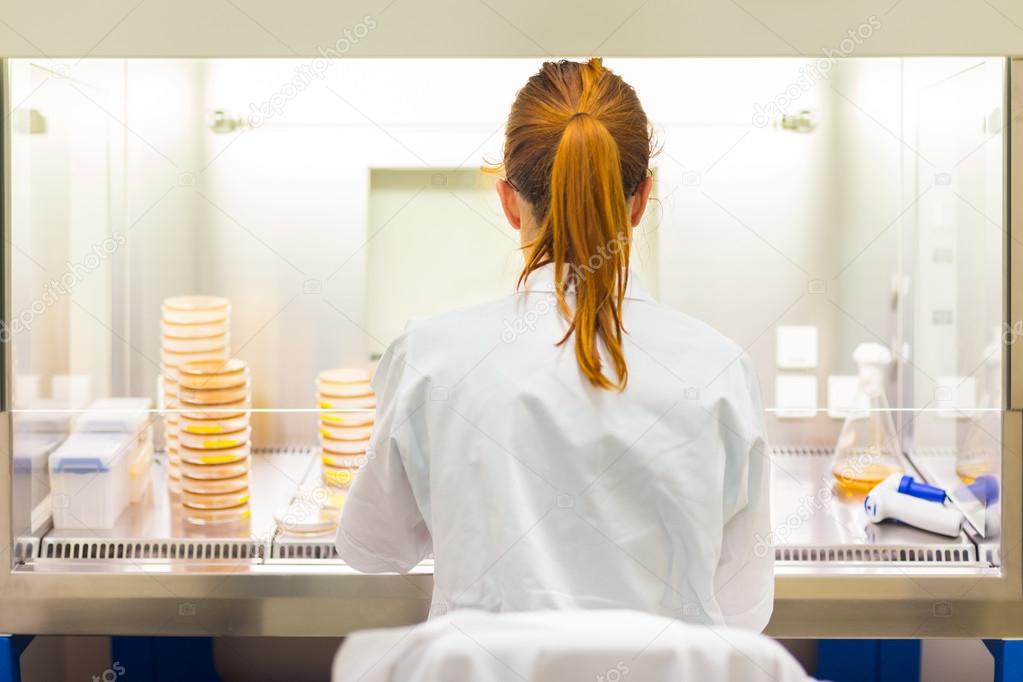 Life scientist researching in the laboratory.