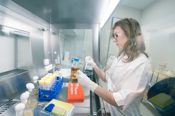 Científico de la vida investigando en el laboratorio. —  Fotos de Stock