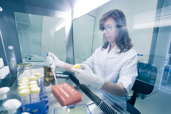 Científico de la vida investigando en el laboratorio. — Foto de Stock