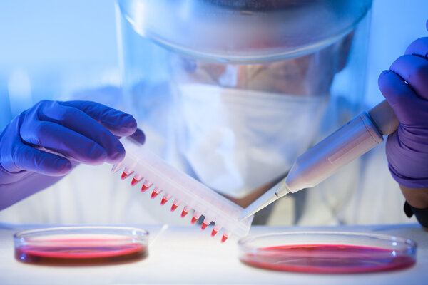 Работа в лаборатории с высокой степенью защиты