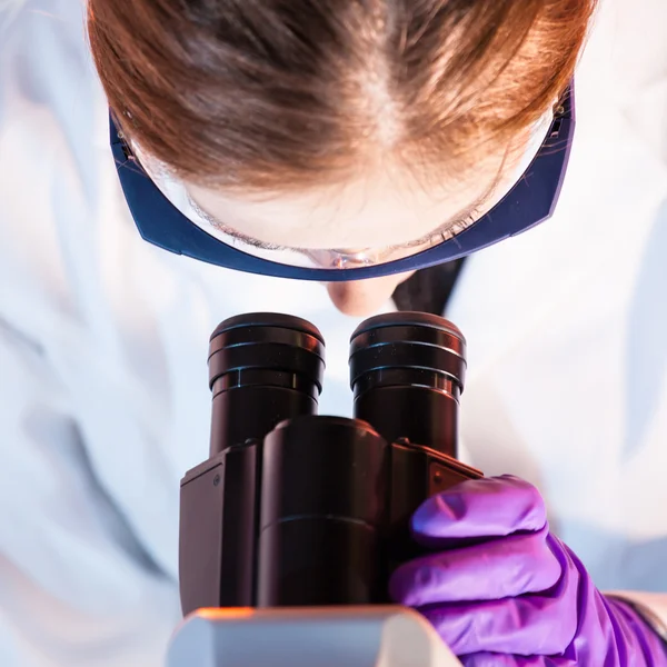 Researcher microscoping. — Stock Photo, Image