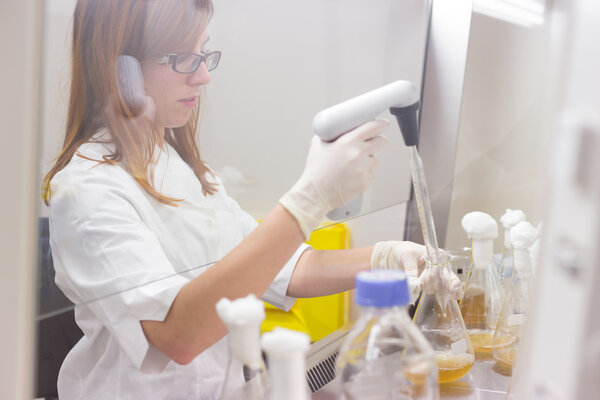 Life scientist researching in the laboratory.