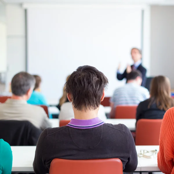 Lecture at university. — Stock Photo, Image