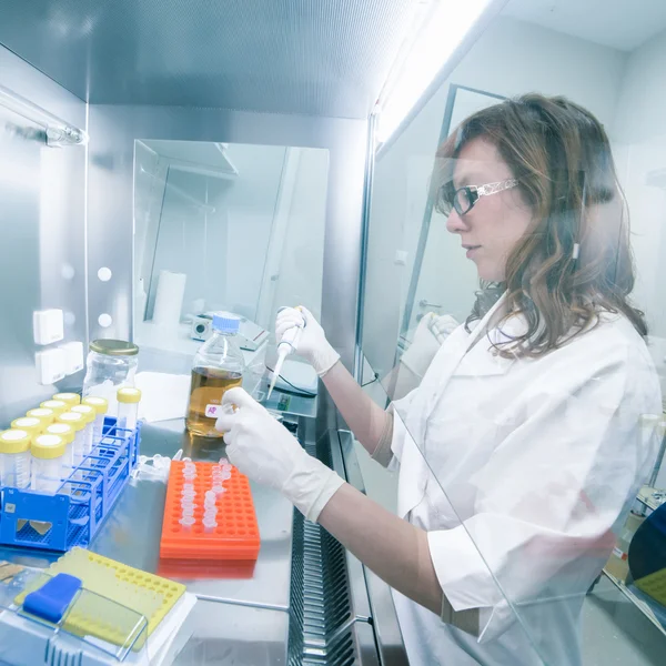 Científico de la vida investigando en el laboratorio. —  Fotos de Stock