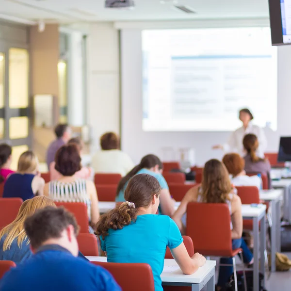 Lecture at university. Stock Image