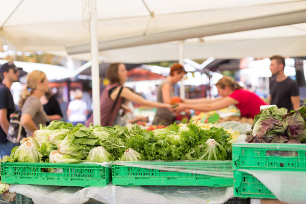 Farmers food market stall with variety of organic vegetable.