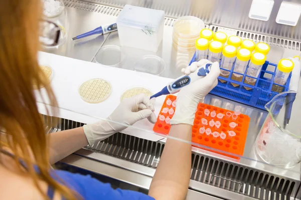 Científico de la vida investigando en el laboratorio. — Foto de Stock