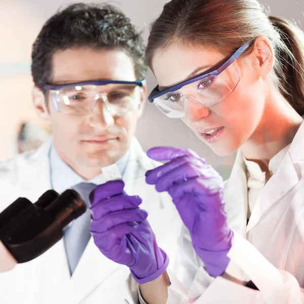 Life scientist researching in the laboratory. — Stock Photo, Image