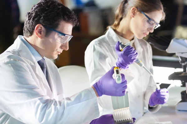 Científico de la vida investigando en el laboratorio. — Foto de Stock