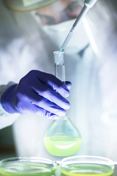 Working in the laboratory with a high degree of protection. — Stock Photo, Image