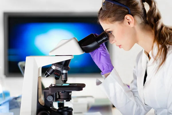 Portrait of a helth care professional microscoping. — Stock Photo, Image