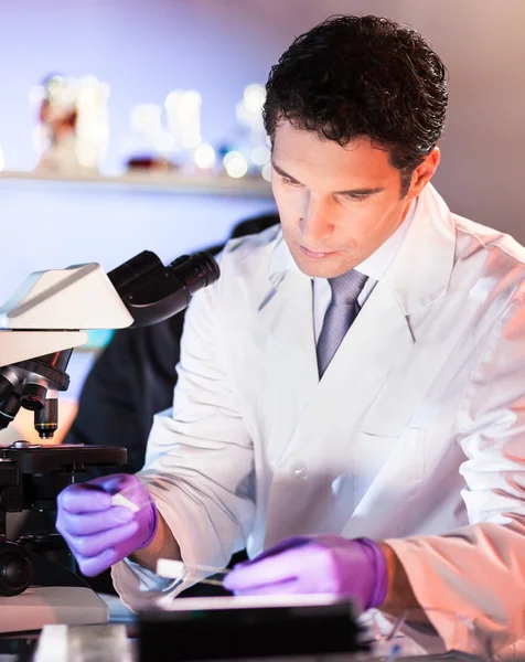 Cientista da vida pesquisando no laboratório. — Fotografia de Stock