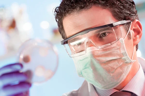 Investigador en ciencias de la vida observando células en placas de Petri. — Foto de Stock