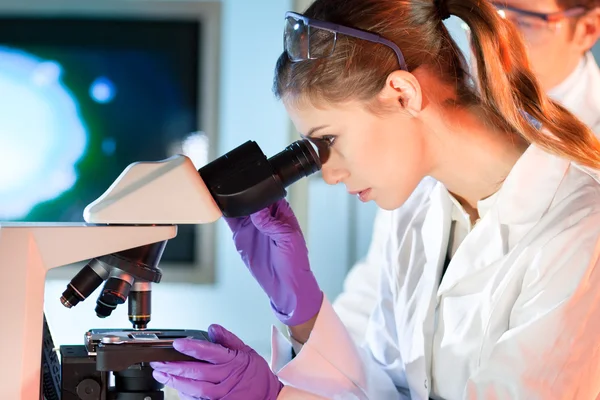 Cientista da vida pesquisando no laboratório. — Fotografia de Stock