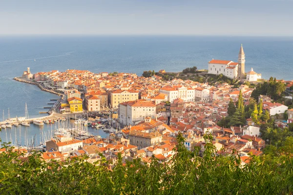 Pittoresca città vecchia Pirano, Slovenia . — Foto Stock