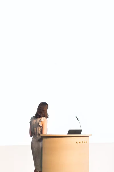 Mujer de negocios haciendo presentación de negocios . —  Fotos de Stock