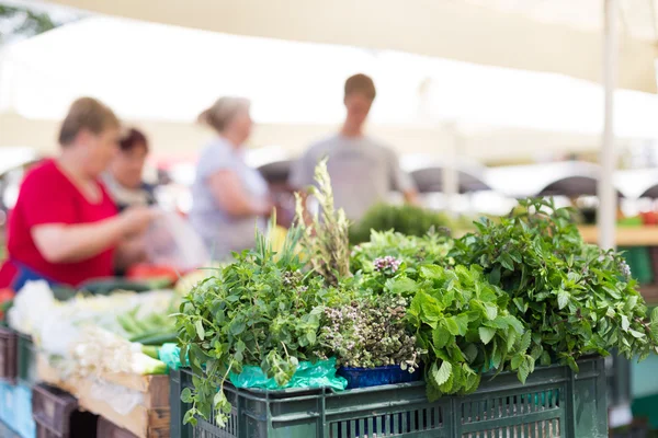 Stalle du marché des agriculteurs . — Photo