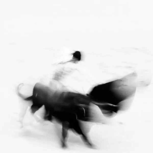 Bullfigting in bullring Las Ventas, Madrid, Spain. — Stock Photo, Image