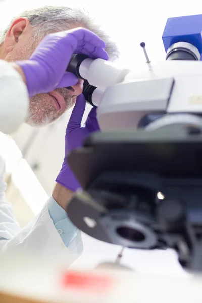 Microscopía científica senior en laboratorio. — Foto de Stock