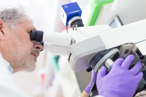 Microscopia de cientista sênior em laboratório. — Fotografia de Stock