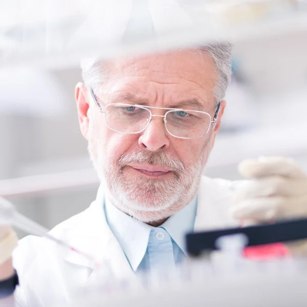 Científico de la vida investigando en el laboratorio. —  Fotos de Stock