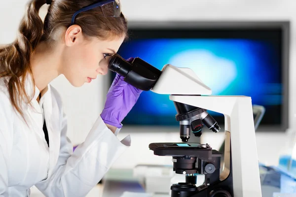 Portrait of a helth care professional microscoping. Royalty Free Stock Photos