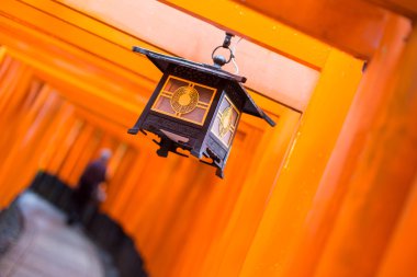 Fushimi Inari Taisha Tapınağı Kyoto, Japonya.