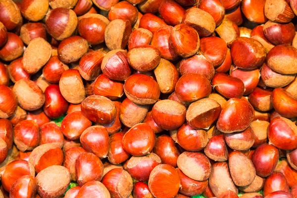 Pile of chestnuts. — Stock Photo, Image