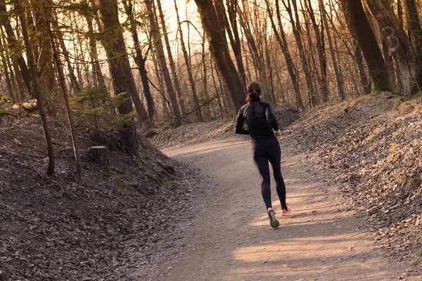 Female runner in the forest. — Stock Photo, Image